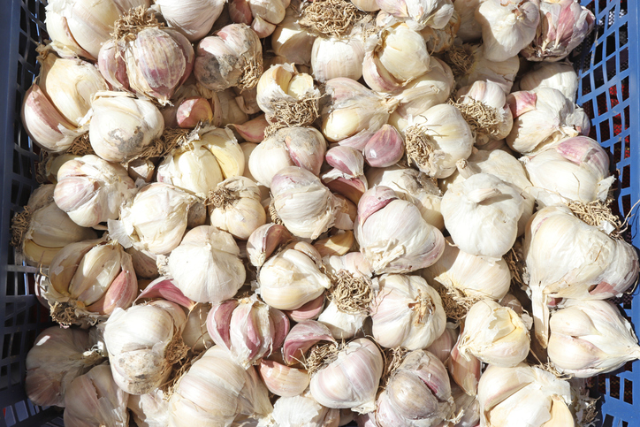 Producción primaria - Granjas y cultivos